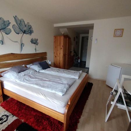 Liliana Vendeghaz Daire Balatonfůzfő Oda fotoğraf
