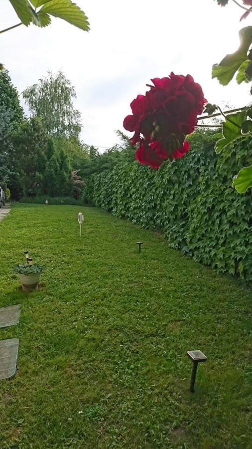 Liliana Vendeghaz Daire Balatonfůzfő Dış mekan fotoğraf