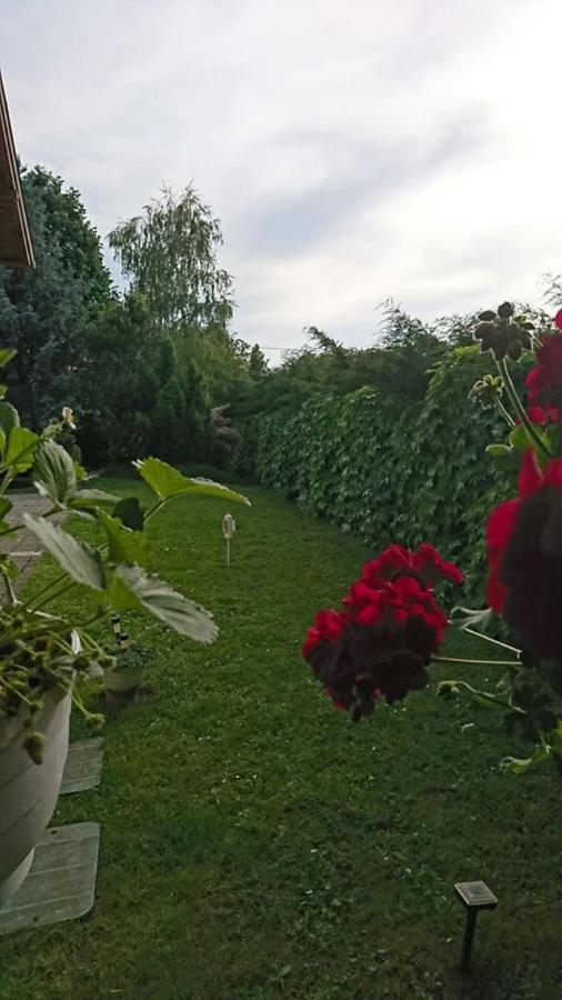 Liliana Vendeghaz Daire Balatonfůzfő Dış mekan fotoğraf