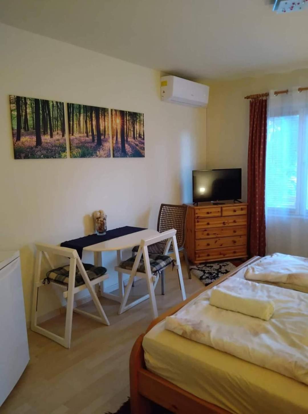 Liliana Vendeghaz Daire Balatonfůzfő Oda fotoğraf